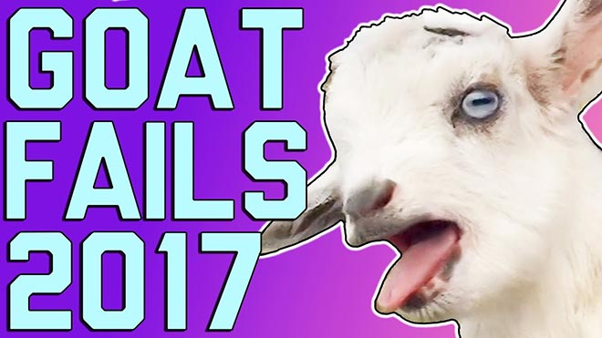 Goat Fails 2017