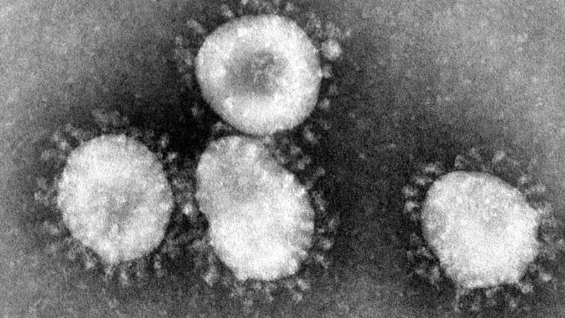 Síntomas del coronavirus